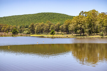 Fototapeta na wymiar Lake and forest in Divisa dam