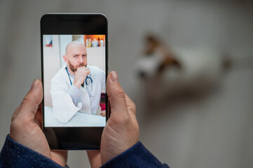 The veterinarian advises the dog owner online on his mobile. A woman talking to a doctor in a video...