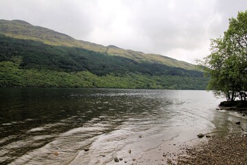 Fototapeta premium A view of Lock Lomond in Scotland