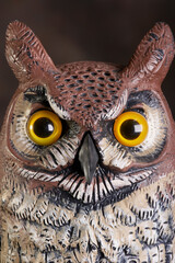 Great Horned Owl