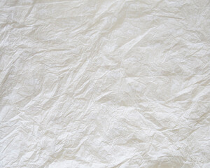 Thin, crumpled, white paper. Parchment blank sheet, grunge fn.