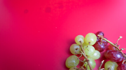 Fresh red and green grapes isolated on pink background. Selective focus on the fresh red and green grapes.