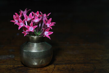 Red flower in Tiny metal Vase. Perfect background for seasons greetings. Macro of tiny vase and flower.