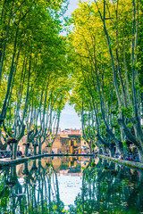 Street life around a water reservoir with beautiful green platanus trees in the provencal village of Cucuron, France