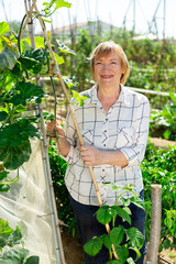 Retired woman caring for plants in the garden. High quality photo