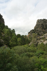 Fototapeta na wymiar view of the source of the river Borosa located in the Natural Park of the Sierras de Cazorla, Segura and las Villas, Andalucia, Spain.