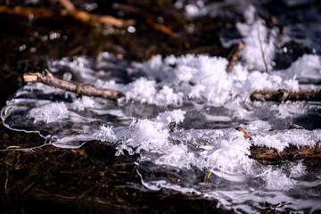 frost, snow and ice collect on forest twigs and branches on a winter morning.