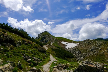 path to a summit while hiking in the summer