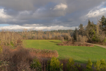 2021-01-14 LUTHER BURBANK PARK ON MERCER ISLAND WASHINGTON WITH CLOUDY SKIES