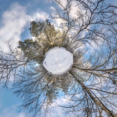 Winter tiny planet in snow covered forest in blue sky. transformation of spherical panorama 360 degrees. Spherical abstract aerial view in forest. Curvature of space.