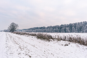 Fototapeta na wymiar Weg im Moor mit Schnee, Wald und Schilf