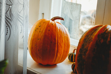 Pumpkin on the table, halloween pupmkin