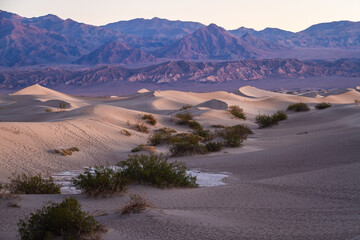 Sand dunes in Death Valley near stovepipe wells during sunrise in Death Valley National Park.