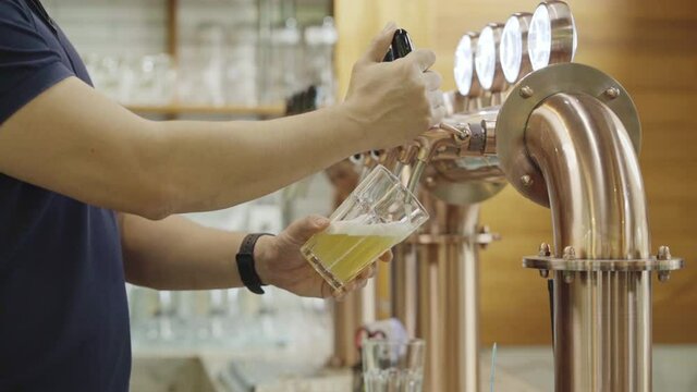 bartender pouring craft beer into a glass