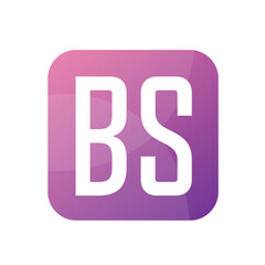 BS Letter Logo Design With Simple style