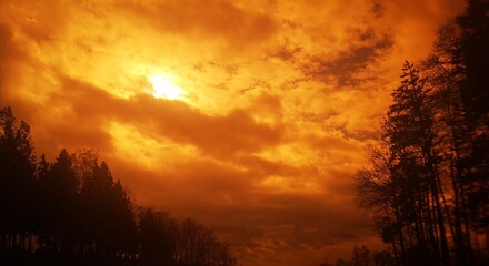 Fototapeta na wymiar Silhouette Trees Against Sky During Sunset