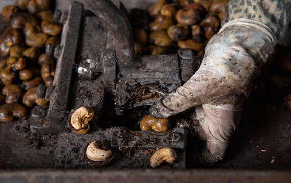Manual machine to broke the external shell of cashewnut