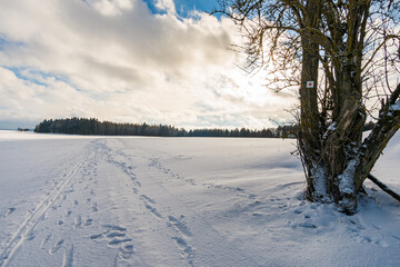 Winter hike around Lake Hosskirch near Koenigseggwald