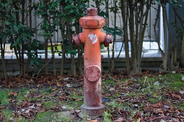 Fototapeta na wymiar A red fire hydrant by the roadside (Marche, Italy, Europe)