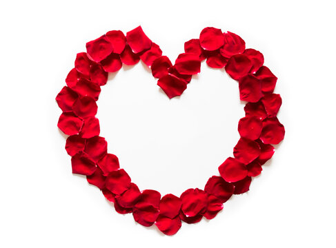 Heart of red petals rose flower