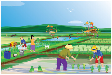 farmer work in paddy field vector design,lifestyle of people at countryside