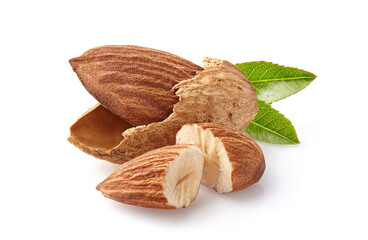 Almonds kernel with leaf in closeup