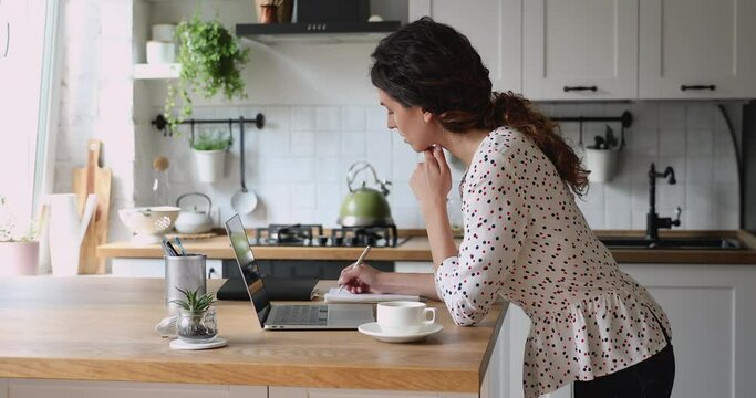 Smiling pleasant young woman checking morning email on laptop, standing at countertop, drinking hot coffee or tea, planning freelance stress free remote day in modern stylish kitchen, feeling relaxed.