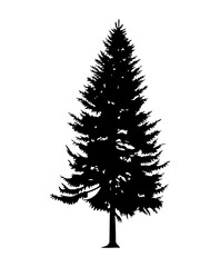 Silhouette of tall skinny pine tree. Hand made.