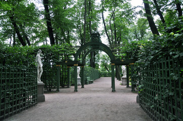 Alley of the park with an arch, green plants and a fence made of narrow boards. 