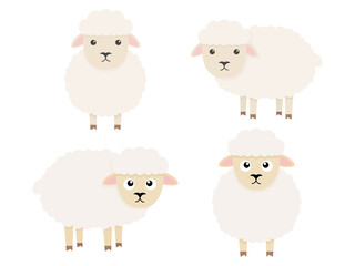 Cute sheeps character set. Cartoon farm animals collection. Vector illsutration isolated on white