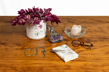 Still life of a plant, candle, glasses, feather and notebook. Wood and white background.