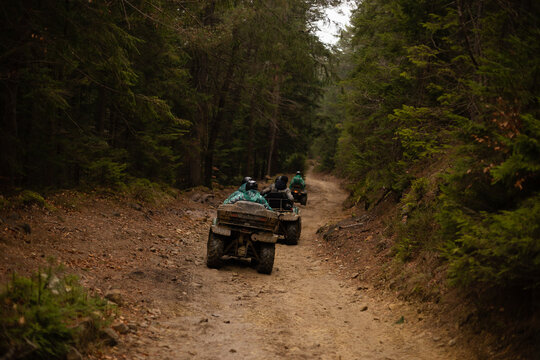 A group of tourists on ATVs go through the forest. Dirty ATVs drive off-road.