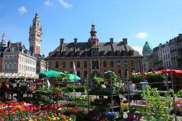 March&eacute; aux fleurs de Lille