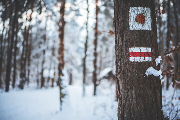 Zimowy szlak/Winter trail