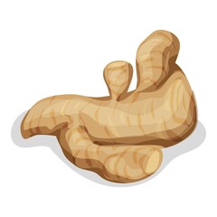 Natural ginger icon. Cartoon of natural ginger vector icon for web design isolated on white background