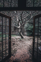 &Aacute;rbol sin hojas