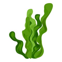 Seaweed icon. Cartoon of seaweed vector icon for web design isolated on white background