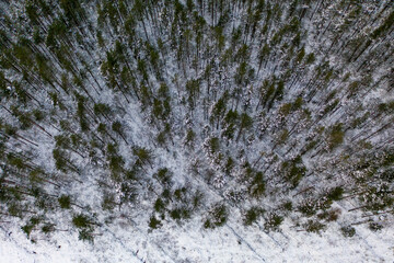 Aerial view with snow, trees and forest in Southern Finland