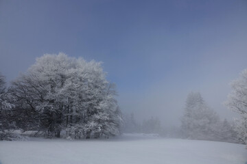 Winter landscape under snow and fog in the Vercors in France