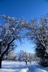 Fototapeta premium Winterlandschaft, Imst in den Tiroler Alpen
