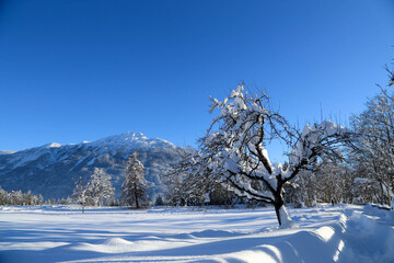 Winterlandschaft, Imst in den Tiroler Alpen