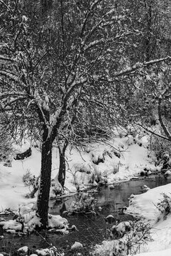 The river Fardes in its upper course cuts through the snow