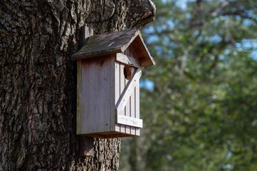 Home Tweet Home