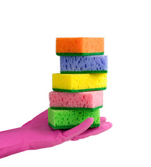 Sponge for washing dishes in female hand.