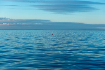 Fototapeta premium Turquoise water color against the sky. The Gulf of Finland. Baltic Sea. Ripples in the water. Sunny day. Background.