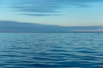 Obraz premium Turquoise water color against the sky. The Gulf of Finland. Baltic Sea. Ripples in the water. Sunny day. Background.