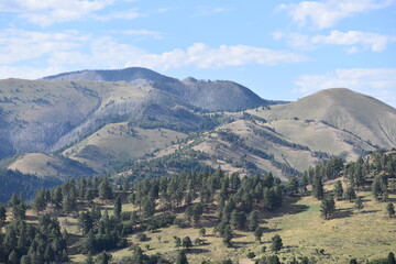 Naklejka premium White Mountains New Mexico 2020