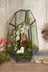 Home indoor plants. Geometric glass florarium vase, ceramic and concrete pots.