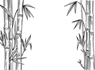 Naklejka premium Bamboo plant. Black outline on transparent background. Hand drawn vector illustration