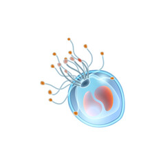 Plankton Realistic Icon